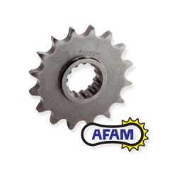 AFAM FRONT SPROCKET 13T YFZR