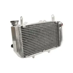 Radiator replacement YFZ...