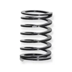 Eibach compensator spring...