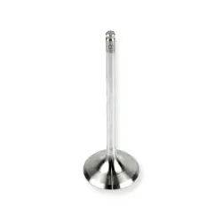 TITANIUM exhaust valve -...