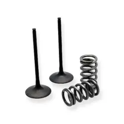 TITANIUM intake valve -...