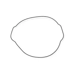 JOINT TORIQUE CARTER...