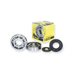 ROULEMENT VILEBREQUIN PROX...