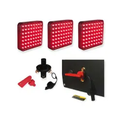 Harnesses kit + 4 rear FIA...