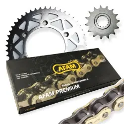 AFAM A520XSR-G 118L CHAIN