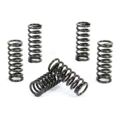 ProX Clutch Spring Kit...