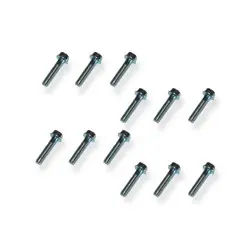 beadlock chrome SCREWS -...