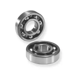 Crankshaft bearing - PROX -...
