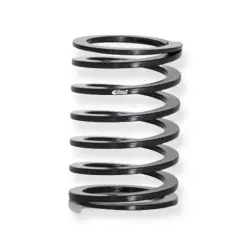 Eibach compensator spring...